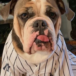 Meet your Posher, Hope